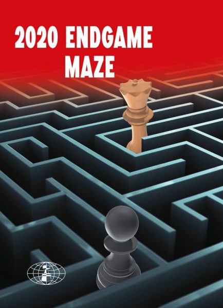 2020 Endgame Maze