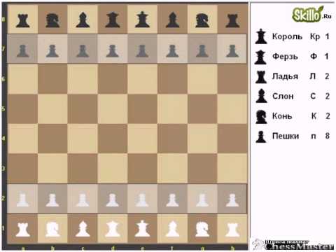 Правила шахмат. Шахматная доска и ладья , слон , ферзь - Chess Chest