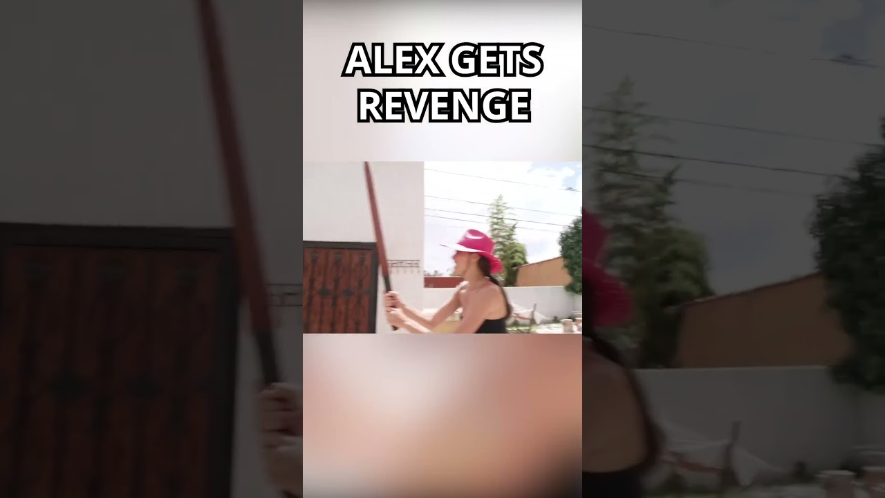 Alex Gets Revenge Chess Chest 