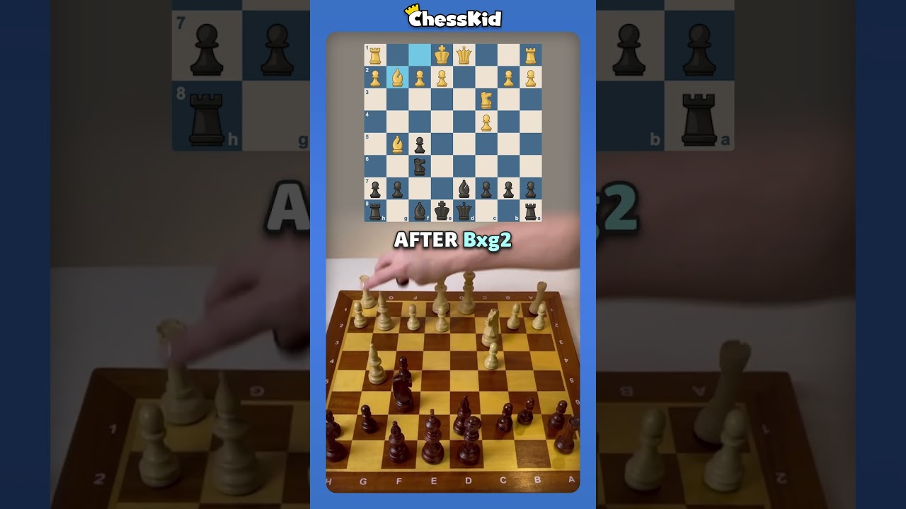 3 Important Things You Should Know In Chess